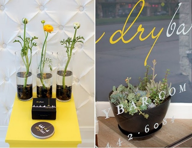[blog1_drybaryesplease10.jpg]