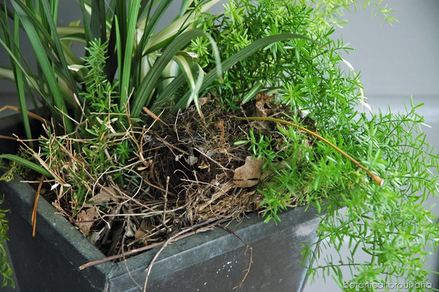 [Picture003edit12.jpg]