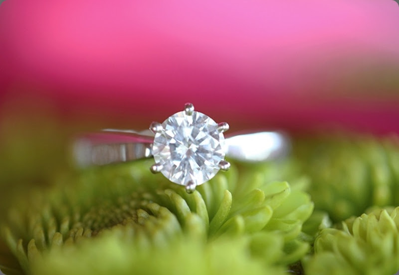 ring-shot-amandamichael-blog0017 lane dittoe