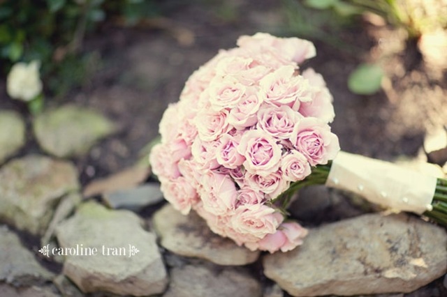 [3941508218_3432635b9c_ocarolinetran5.jpg]