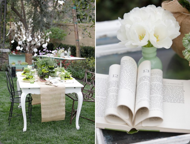 wc-blog-4 lane dittoe