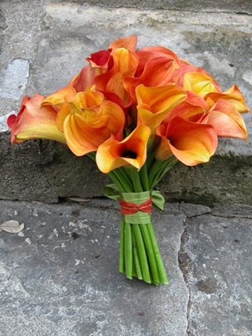 [calla_bouquet_blogsproutflowersfrede.jpg]