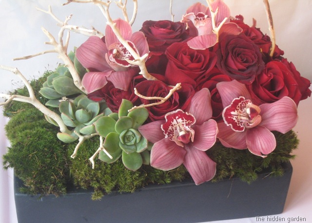 [gallery_536_ValentinesDay2009046theh[2][1].jpg]