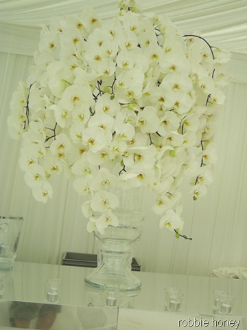 [wed_white_arrangement_lrobbiehoney[1].jpg]
