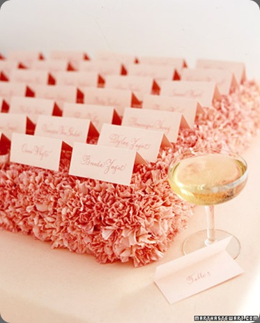a99241_spr02_crnation_xl martha stewart