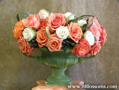 brassavolas floral co