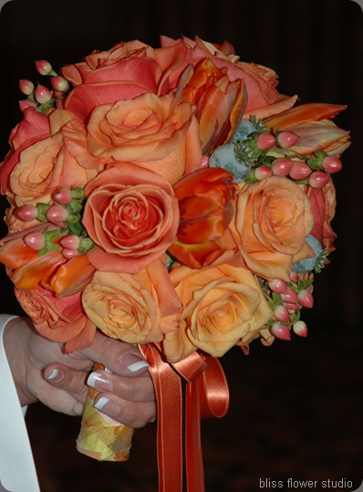 DSC_0058 crop