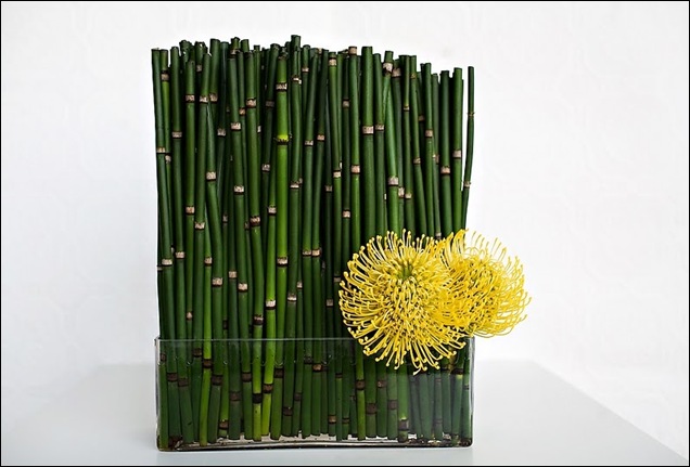 xathlete1 JL Designs