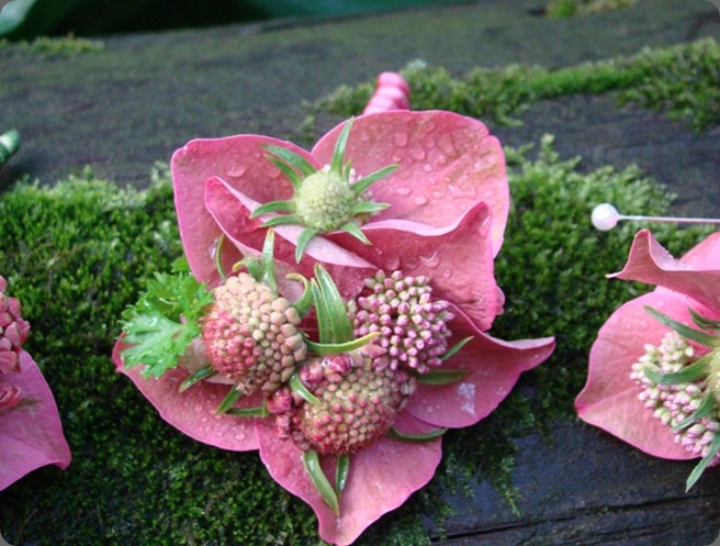 hydragnea-bout fresh cut design