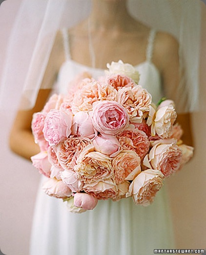 Blushing-Beauties martha stewart