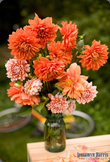 aangcoll_jharris025 jessamyn harris photographer