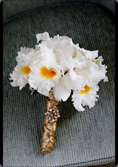 bouquet beautiful blooms