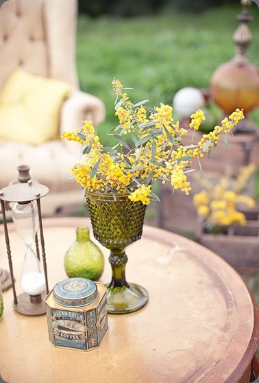 erinbrent10 mimosa JL Designs