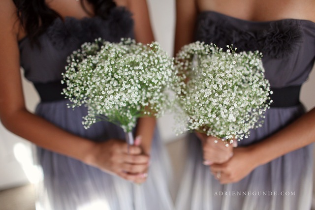 [img_4049adriennegundephoto5.jpg]