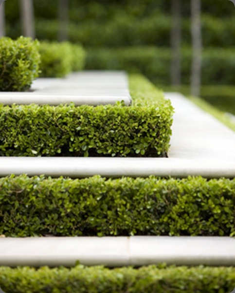 181 peter fudge gardens