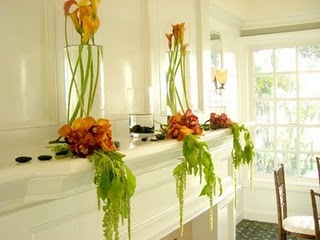 [CIMG2807 flowers on mars.jpg]