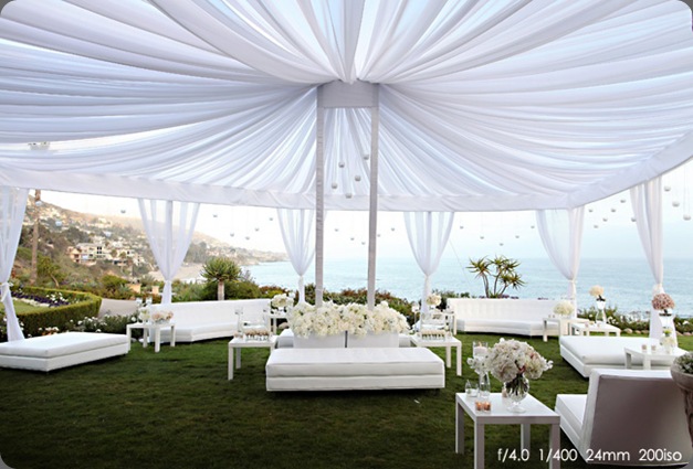 JasmineStarWeddingDetails0007 jasmine star square root