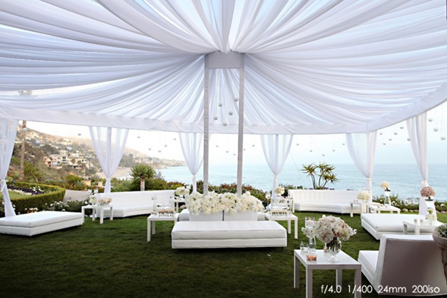 [JasmineStarWeddingDetails0007jasmine.jpg]