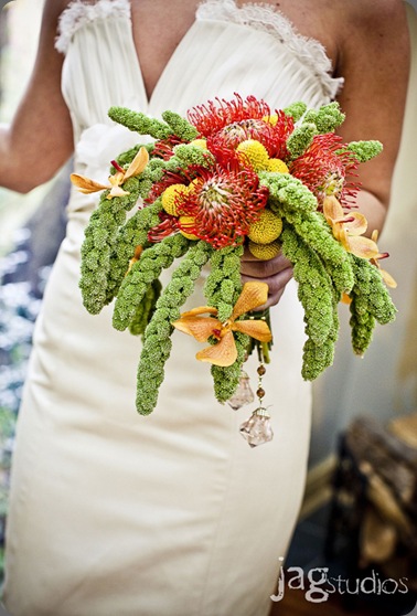 jagstudios-0023 datura