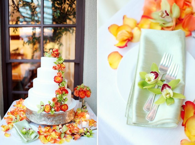 [ck14adriennegundephoto5.jpg]