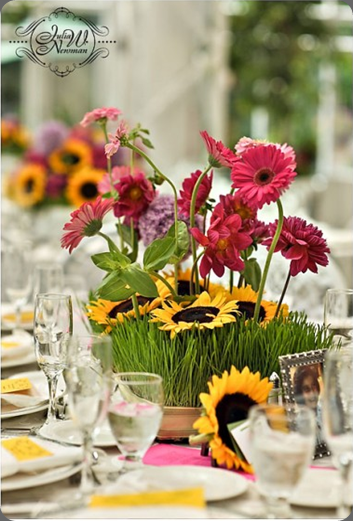 Screen-shot-2010-09-02-at-11.04.27-AM beautiful blooms