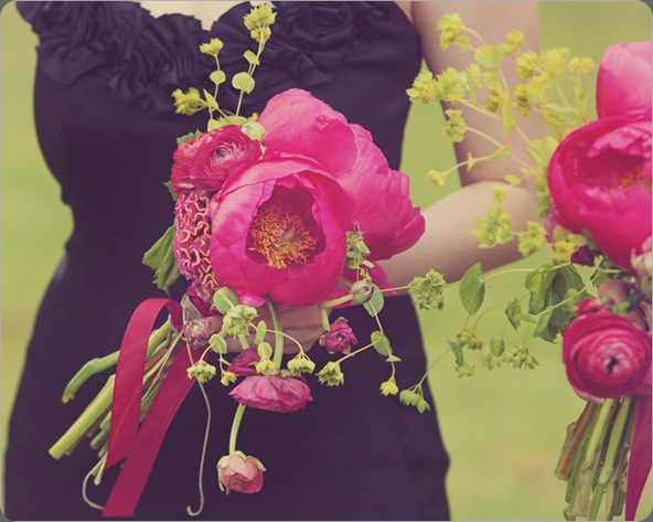 wine_013 w. scott chester photo