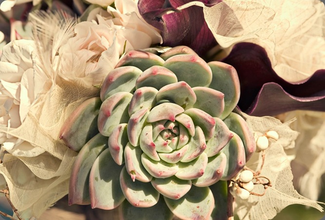 DSC_03661-1024x681 ashley maxwell phot