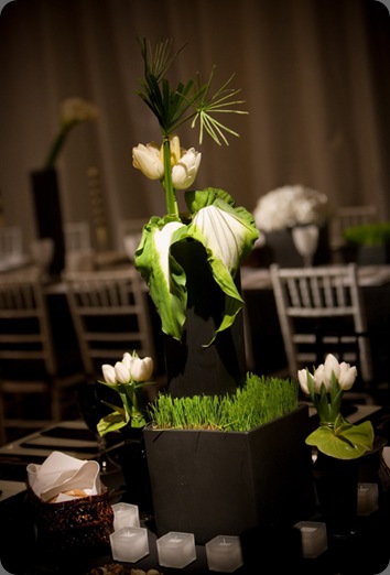 0091 beautiful blooms