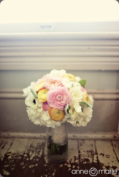 291 anne marie photo