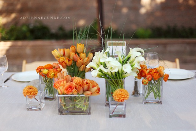 [adriennegundephoto15.jpg]