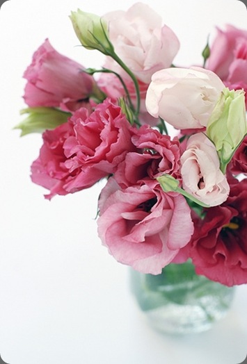 3847255114_d894373606 inspiration   Photography