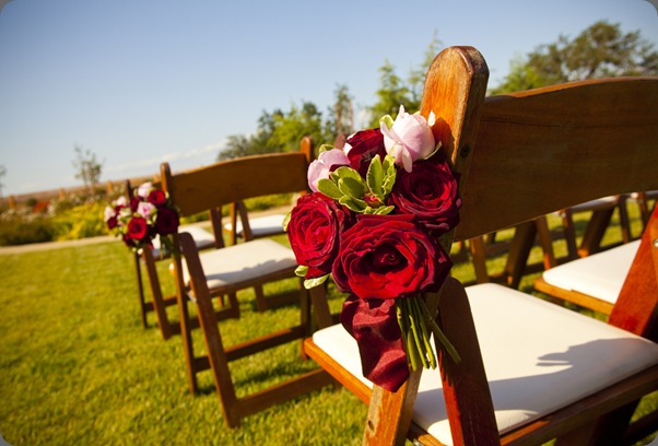 Corinne008 panacea flowers