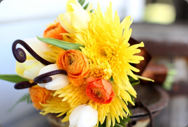 MARTIN0040-1024x682 panacea flowers