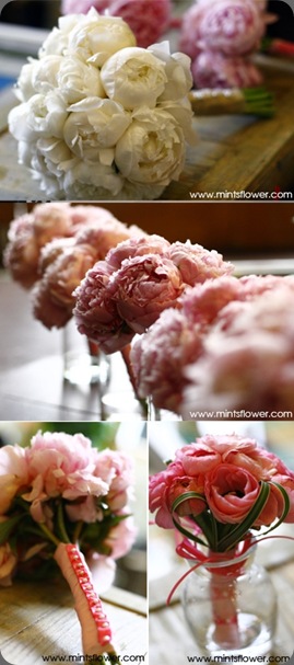 52708-1 mint design blof