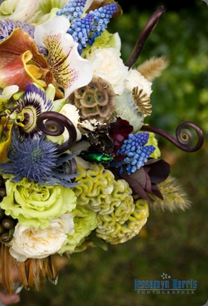 jessneal058 jessamyn harris