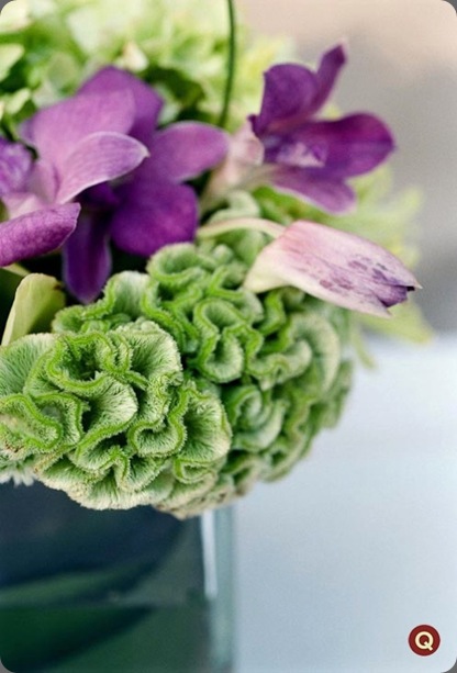 LisaMark-0078w-tm qweddings