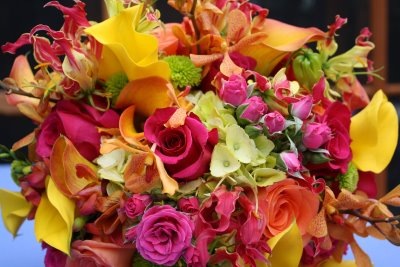 [IMG_2490lateedaflowers6.jpg]