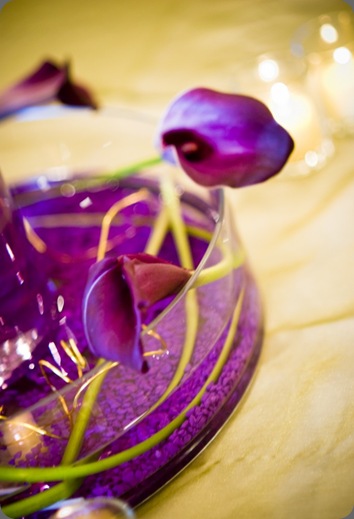 DSC_01441-685x1024 flourish designs .com