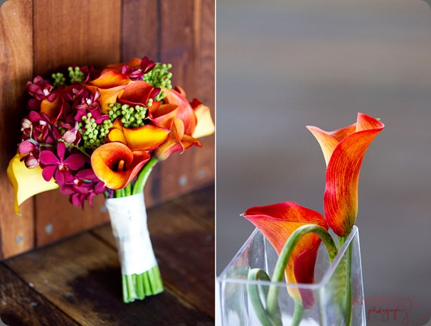 JRGroveIslew10 ambrosio photo