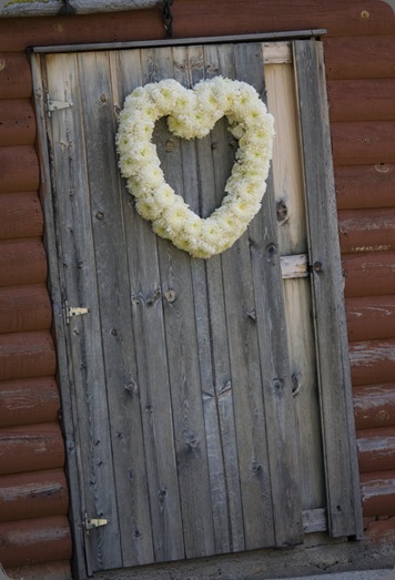 0205 blooms by martha andrews