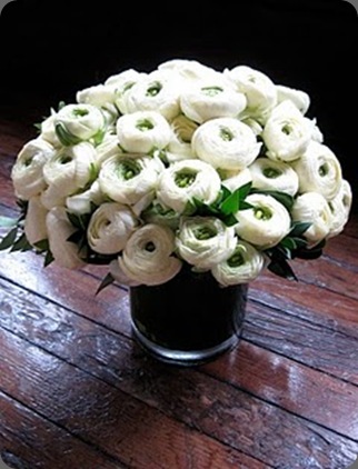 ranuculus quatre coeur