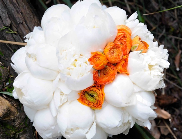 [DSC_0163altlierjoya5.jpg]