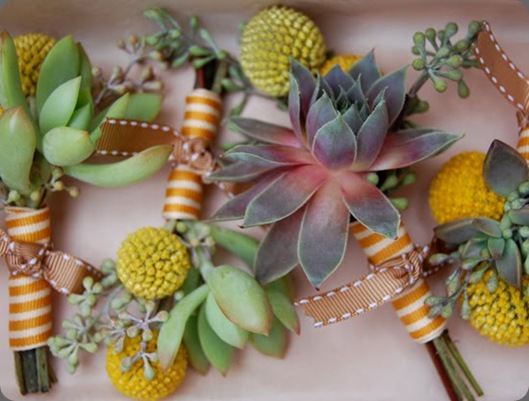 DSC_0004 small stump blogspot