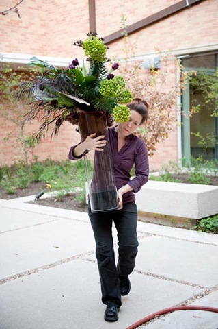 [crosspollination5.jpg]