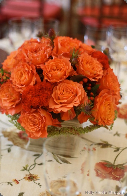 free spirit holly chapple