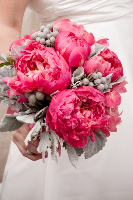 [coral-charm-peony-dusty-miller-and-s[2].jpg]