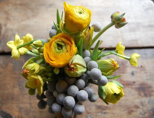 DSC_0020 small stump blogpsot