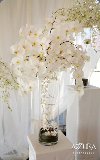 Azzura_Taryn_and_Brian_17 flora nova seattle Azzura_Taryn_and_Brian_17 flora nova seattle