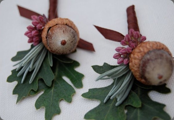 MFGAcornBouts the monkey flower group MFGAcornBouts the monkey flower group