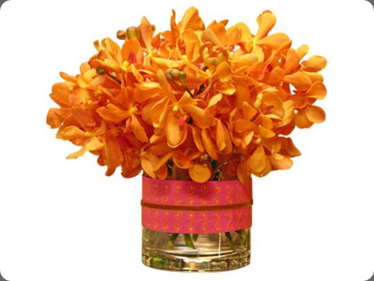 ARR00001 jayson home and garden